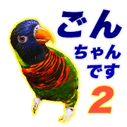 Rainbow lorikeet Stickers2.