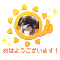 Kaho_20201211141947