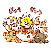 Wild Cat Kindergarten