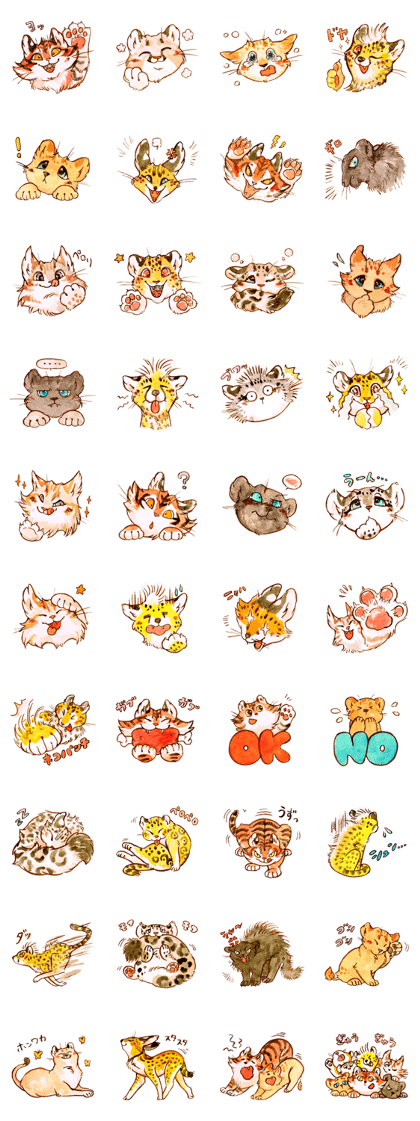 Wild Cat Kindergarten