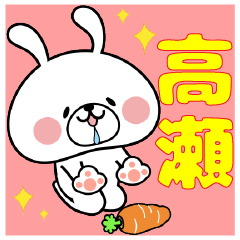 Bunny Sticker Takase