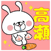 Bunny Sticker Takase