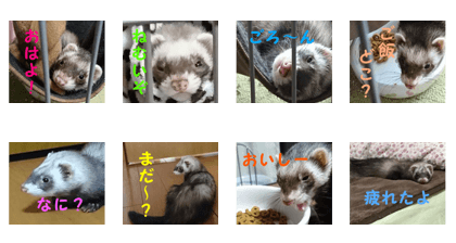 Ferret Sticker by soran