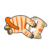 500 cats 1-428j-2