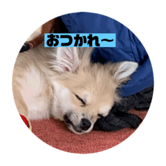rei_20201211143426
