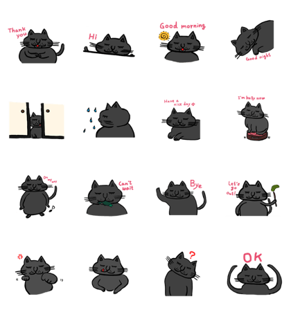 Black cat Sue