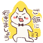 The cat which functions.
