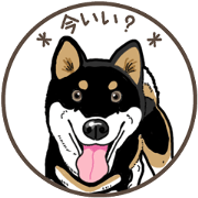 Daily Black Shiba Inu 7