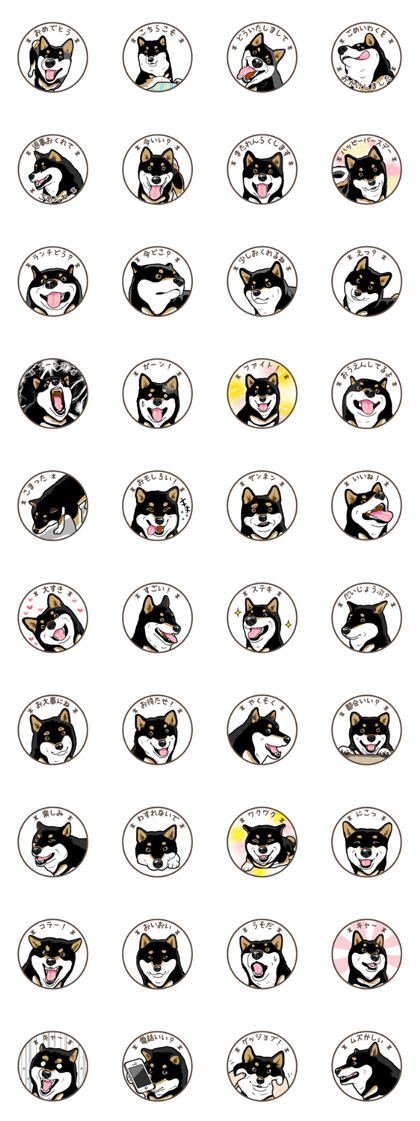 Daily Black Shiba Inu 7