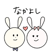 A rabbit who knows