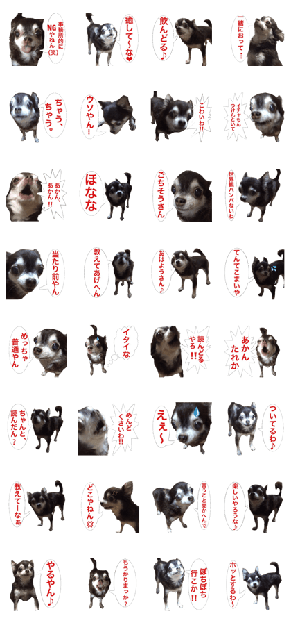 Mr.Thank you and amusing friends 8