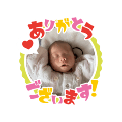 sena_20201211134028