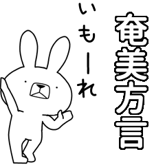 BIG Dialect rabbit[amami]