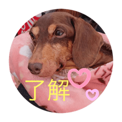 choco_20201211222449