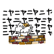 that is a cat that is a cat