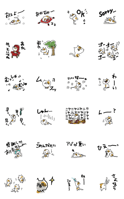 that is a cat that is a cat