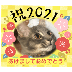 NANAMI_20201211214935