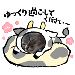 NANAMI_20201211220340