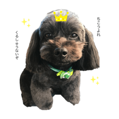 mizuki_20201211225726