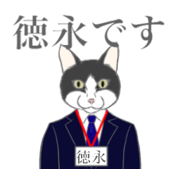 Tokunaga of the cat