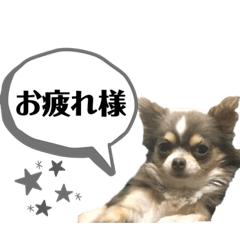 Rina_20201212095436