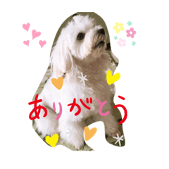 Sally_20201212125447