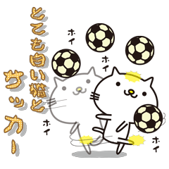 とても白い猫とサッカー