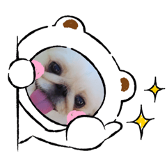 SATOSHI_20201212140630