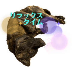 sayuri_20201212145204