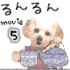 toy poodle "LUNLUN"-the movie 5-