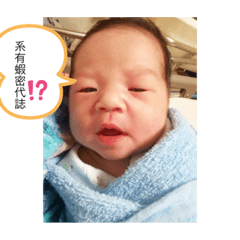 蔡家新生兒