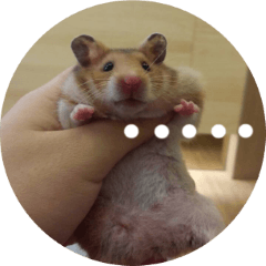暖暖系列 - 黃金鼠寶們的超實用日常生活篇