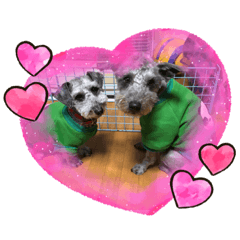 miyocchi_20201212014532