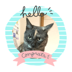 AKIKO_20201212164802