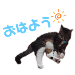 kanae_20201212172015