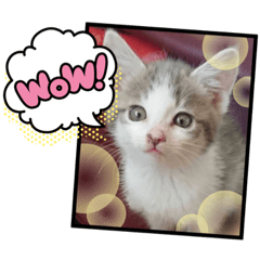 AKIKO_20201212204142