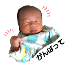 natsumi_20201213001636