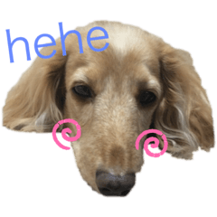 nagisa_20201213013131