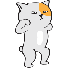 各種射貓