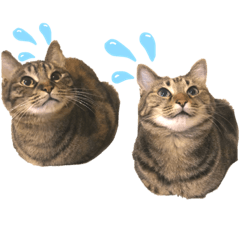 YAMADA_20201212182043