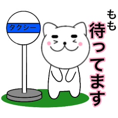 Names cat momo