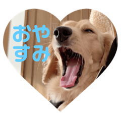 cocoa_20201213101318