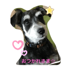 Ayumi_20201213114300