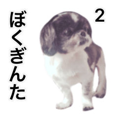 Lovely dog GINTA's sticker 2