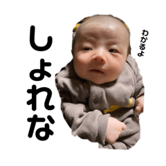 matsu_20201213124803