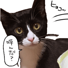 Toshikun-sticker
