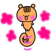 A squirrel
