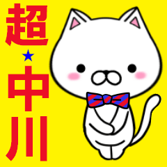 超★中川(なかがわ・ナカガワ)なネコ