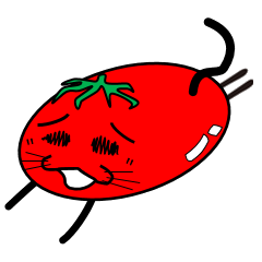 Cat Tomato