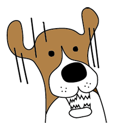 Beagle dog GAKU 3